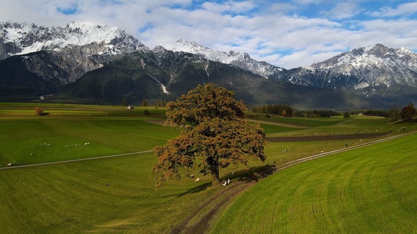 Alpenparadiese: Einzigartige Landschaft am Mieminger Plateau, eine zwischen 850 m und 1000 m hoch gelegene Mittelgebirgsterrasse oberhalb des Tiroler Oberinntals