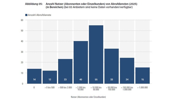 Säulendiagramm zur Anzahl der Abrufdienste nach der Zahl ihrer Nutzerinnen und Nutzer im Jahr 2025. Die größte Gruppe umfasst 10.000 bis 50.000 Nutzer (55 Dienste), gefolgt von 2.000 bis 10.000 Nutzern (40) und 50.000 bis 150.000 Nutzern (33). Weitere Kategorien weisen geringere Anzahlen auf.