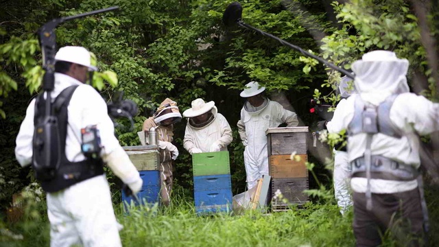 Am Set von „Milch und Honig“ - Dreharbeiten am Bienenstock