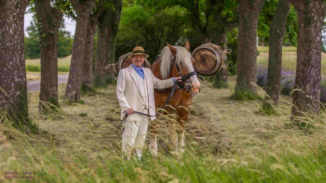 Erwin Steinhauer mit einem „Wasser-Reiter“-Pferd