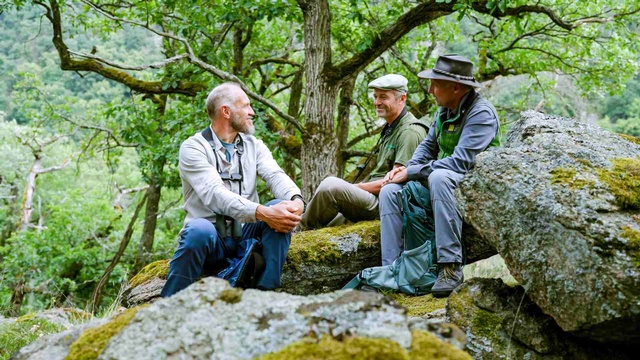 Drei Männer sitzen auf moosbewachsenen Felsen in einem Wald und unterhalten sich miteinander.