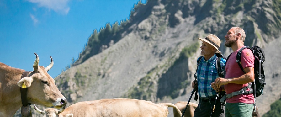 Blick gen Kanisfluh: (v.l.:) Toni Innauer, Hermann Maier