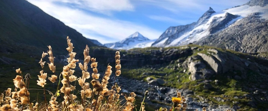 Sulzbachtal im Nationalpark Hohe Tauern